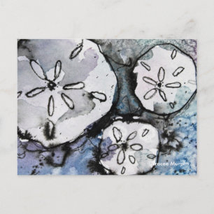 Sand Dollar Trio Postkarte