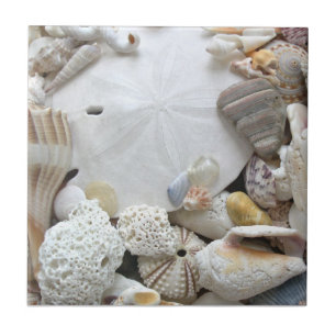 Sand Dollar und Seashells Keramik Tile Fliese