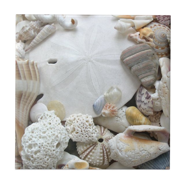 Sand Dollar und Seashells Keramik Tile Fliese (Vorderseite)