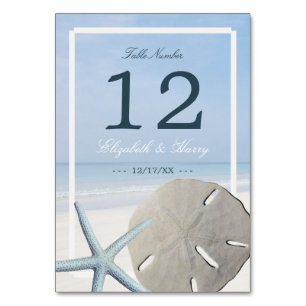 Sand Dollar und Starfish Beach Hochzeit Tischnummer