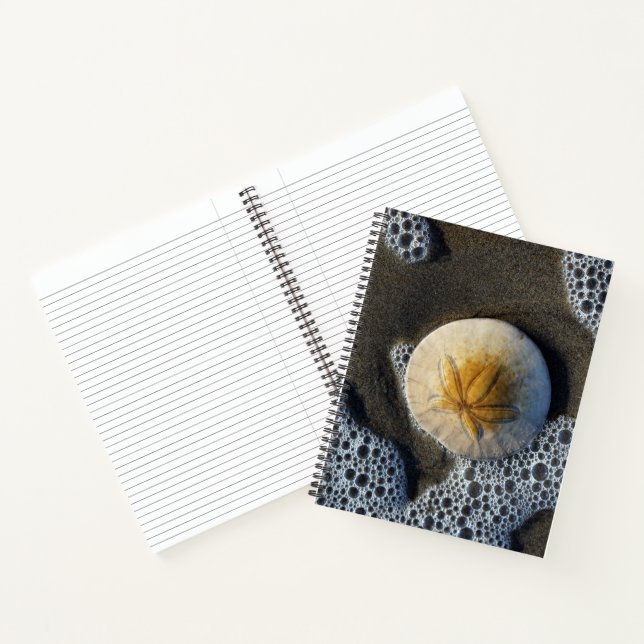 Sand Dollar und Surf Beach Foto 8x11 Notebook Notizbuch (Innenseite)