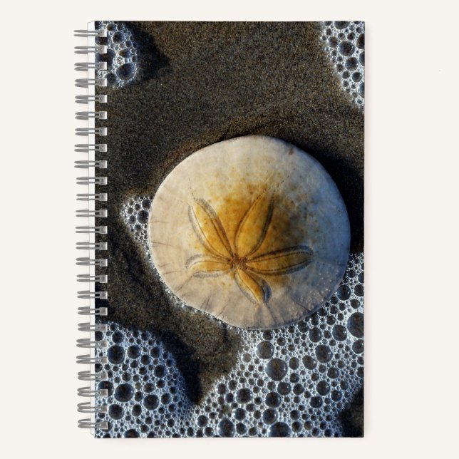Sand Dollar und Surf Beach Foto 8x5 Notebook Notizbuch (Vorderseite)