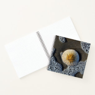 Sand Dollar und Surf Beach Foto 8x8 Notebook Notizbuch