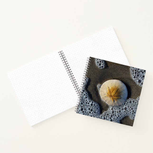 Sand Dollar und Surf Beach Foto 8x8 Notebook Notizbuch (Innenseite)