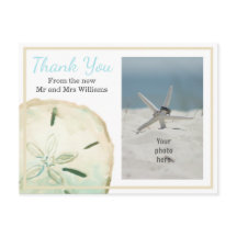 Sand Dollar Vielen Dank Beach Foto