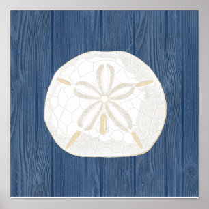 Sand-Dollar Vintage Blau Holz Strand Poster