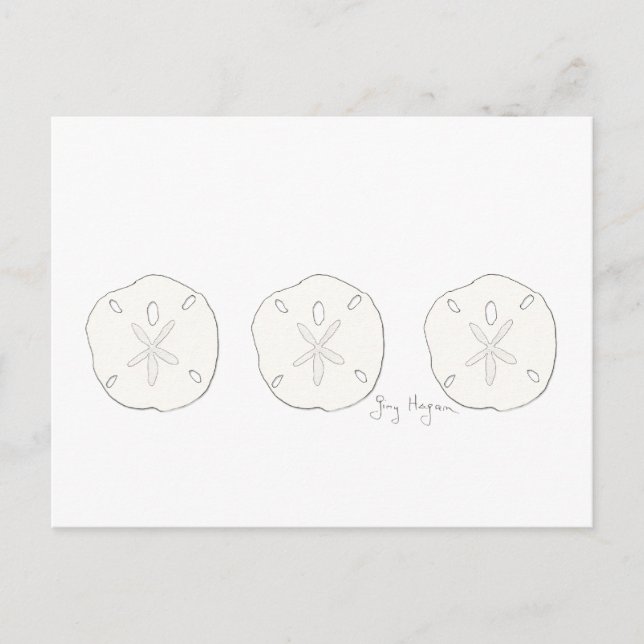 Sand Dollars Postkarte (Vorderseite)