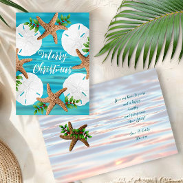 Sand Dollars Starfish Beach Weihnachtskarten