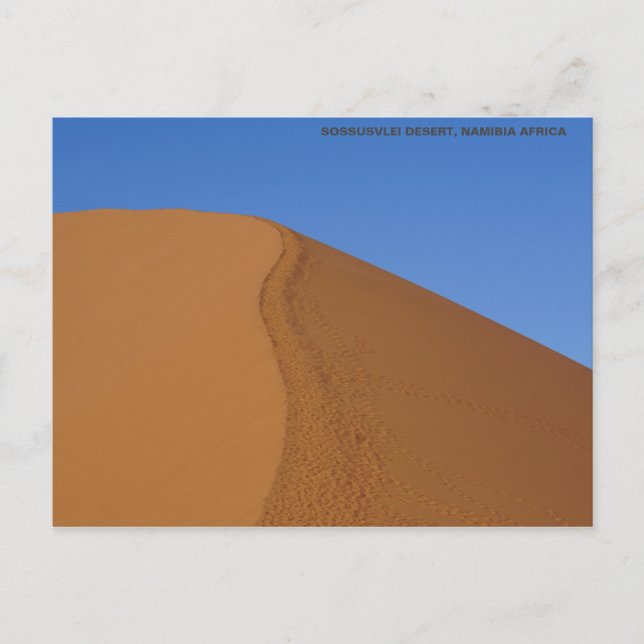 SAND DUNE NAMIBIA AFRIKA POSTKARTE (Vorderseite)