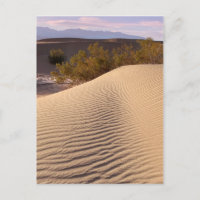 Sand Dunes Death Valley National Park