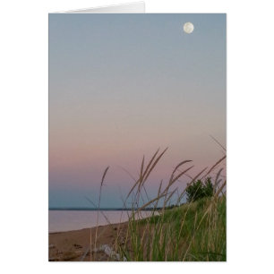 Sand Dunes Full Moon Twilight Beach