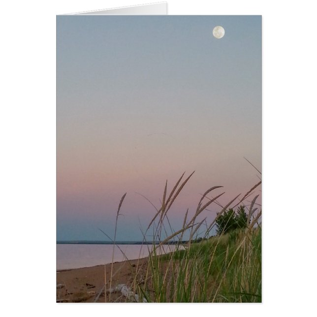Sand Dunes Full Moon Twilight Beach (Vorne)