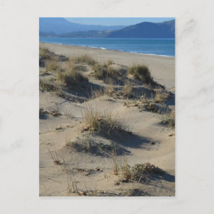 Sand Dunes Postcard Postkarte