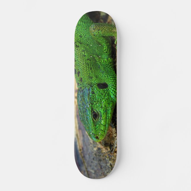 Sand-Eidechsemännlicher Lacerta Agilis Skateboard (Vorderseite)