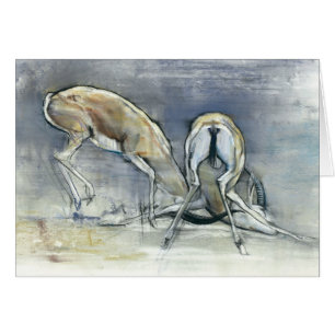 Sand-Gazellen 2009 2