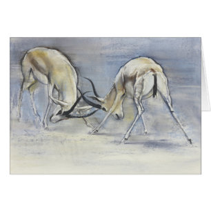 Sand-Gazellen 2009 3