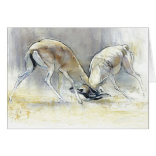 Sand-Gazellen 2009 4