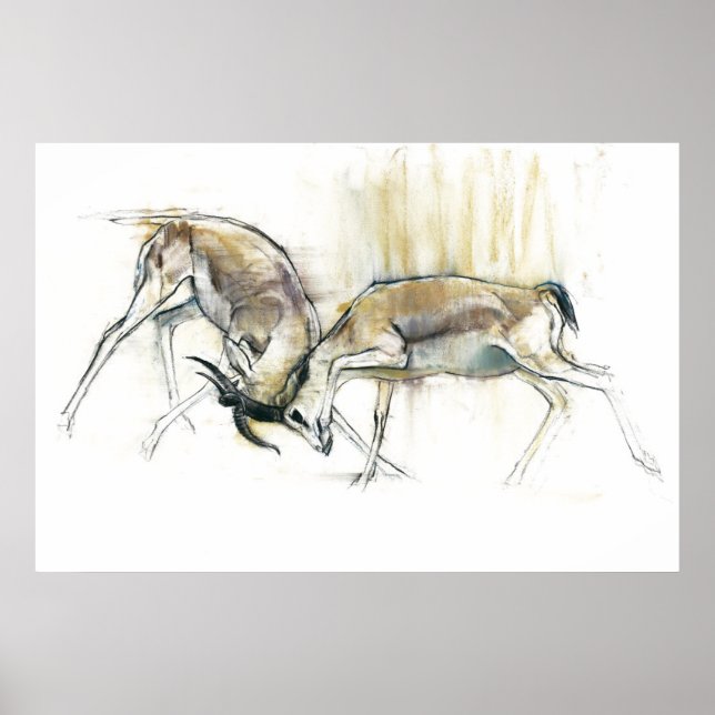 Sand Gazelles 2009 Poster (Vorne)