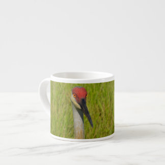 Sand Hill Crane - Kamera Espressotasse