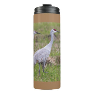 Sand Hill Crane Thermal Tumbler Thermosbecher