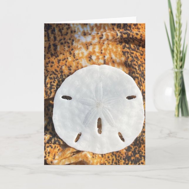 Sand Holiday Card Feiertagskarte (Vorderseite)