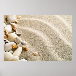 Sand mit Muscheln und Steinen. Zusammensetzung Poster