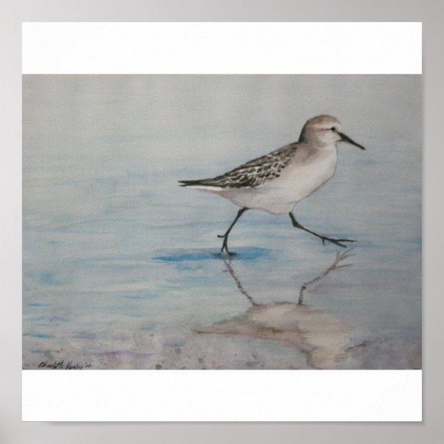 Sand Piper Bird Art Print Poster (Vorne)