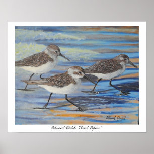 Sand Piper Plakatdruck Poster