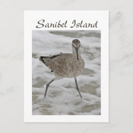 Sand Piper Sanibel Island Postcard Postkarte