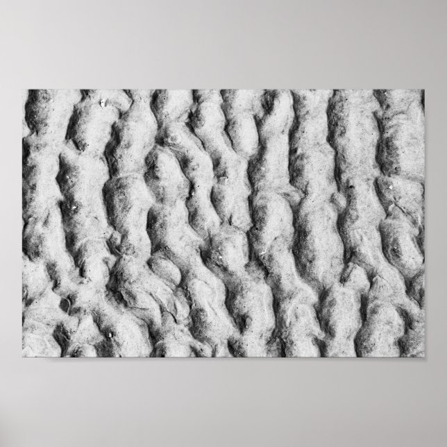 Sand Ripples 3X Poster (Vorne)