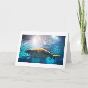 Sand tiger shark feiertagskarte