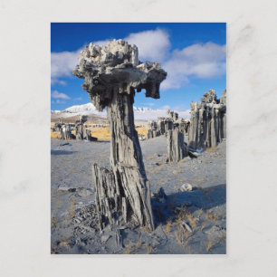 Sand tufa Formationen, Mono Lake, Kalifornien, USA Postkarte