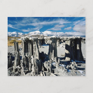 Sand tufa Formationen, Mono Lake, Kalifornien, USA Postkarte