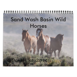 Sand-Waschbecken-wildes Pferd Calander Kalender