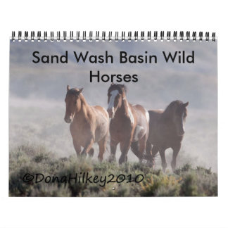 Sand-Waschbecken-wildes Pferd Calander Kalender