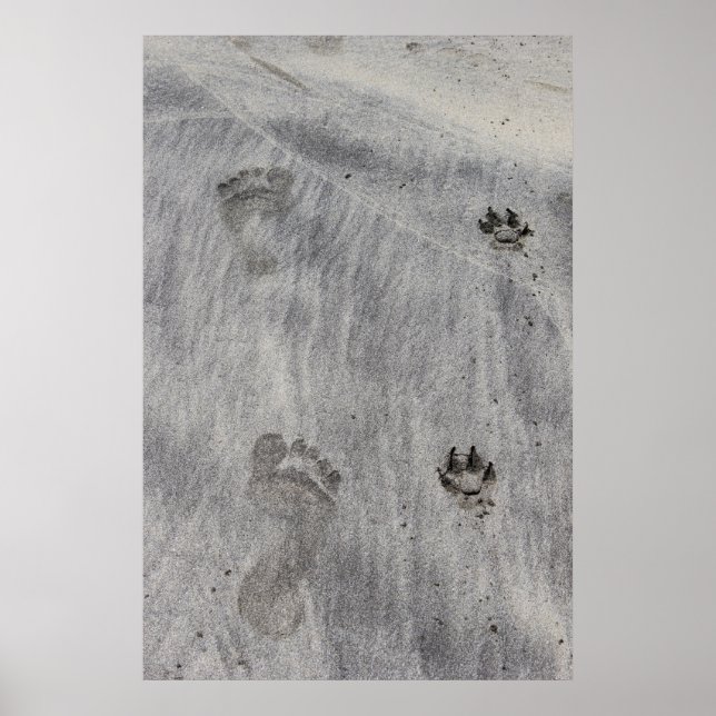 Sand Writen Liebe Poster (Vorne)