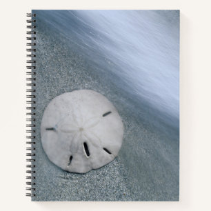 Sanddollar am Strand Sanibel Island, Florida Notizbuch