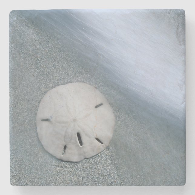Sanddollar am Strand| Sanibel Island, Florida Steinuntersetzer (Vorderseite)