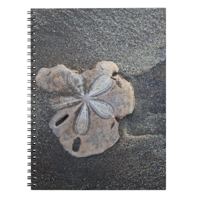 Sanddollar auf Sand Notizblock (Vorderseite)