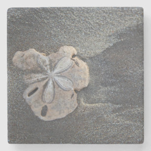 Sanddollar auf Sand Steinuntersetzer