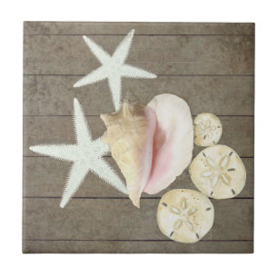 Sanddollar Conch Muscheln Rustikales Holz Fliese