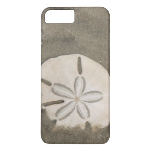 Sanddollar (Echinarachnius parma) Case-Mate iPhone Hülle
