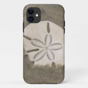 Sanddollar (Echinarachnius parma) Case-Mate iPhone Hülle