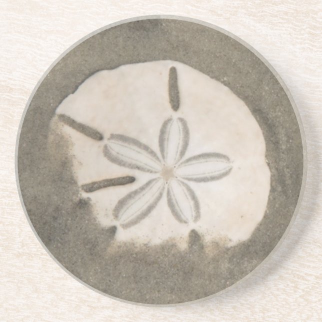 Sanddollar (Echinarachnius parma) Getränkeuntersetzer (Vorne)