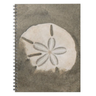 Sanddollar (Echinarachnius parma) Notizblock
