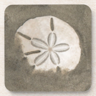 Sanddollar (Echinarachnius parma) Untersetzer