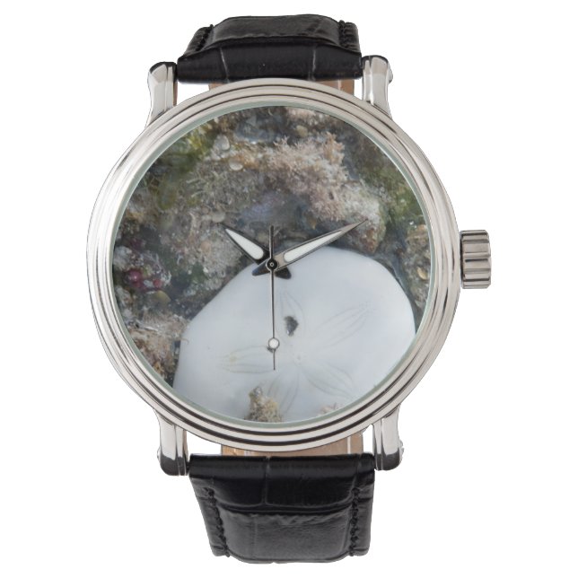 SandDollar im Fidschi-Riff bei Ebbe Armbanduhr (Vorderseite)