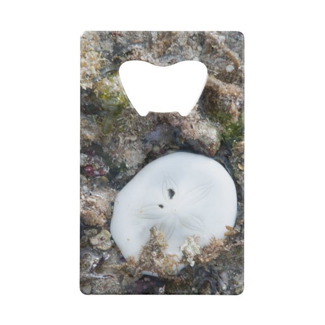 SandDollar im Fidschi-Riff bei Ebbe Geldbeutel Flaschenöffner (Vorderseite)