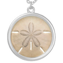 Sanddollar