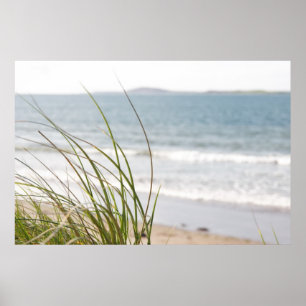 Sanddüne-Grasansichtplakat Poster